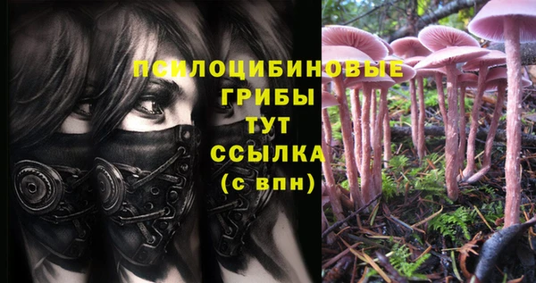 PSILOCYBIN Арсеньев