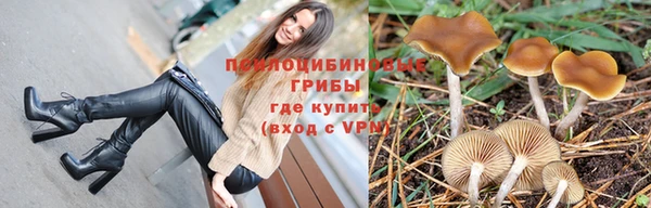 гашиш Аркадак