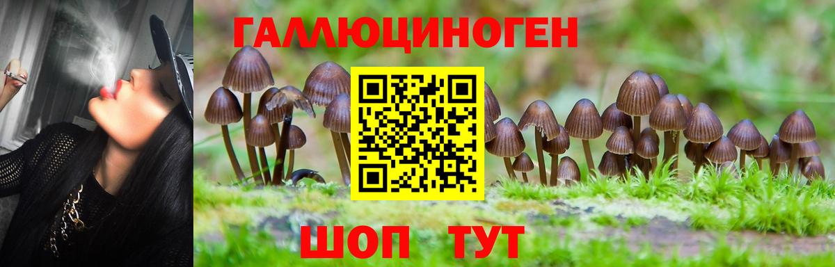 Галлюциногенные грибы прущие грибы  Галлюциногенные грибы Cubensis  Вход с VPN  Мытищи 